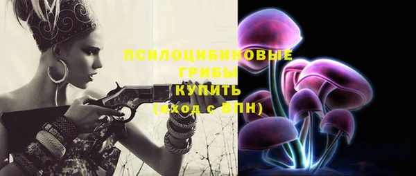 эйфоретик Козловка