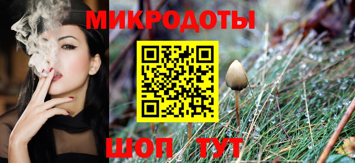 Псилоцибиновые грибы GOLDEN TEACHER  Вход с VPN  Серпухов  Галлюциногенные грибы Magic Shrooms 